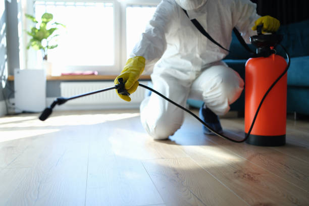 Reliable Blood Cleanup contractor in Phelan, CA by Trauma Clean Pros